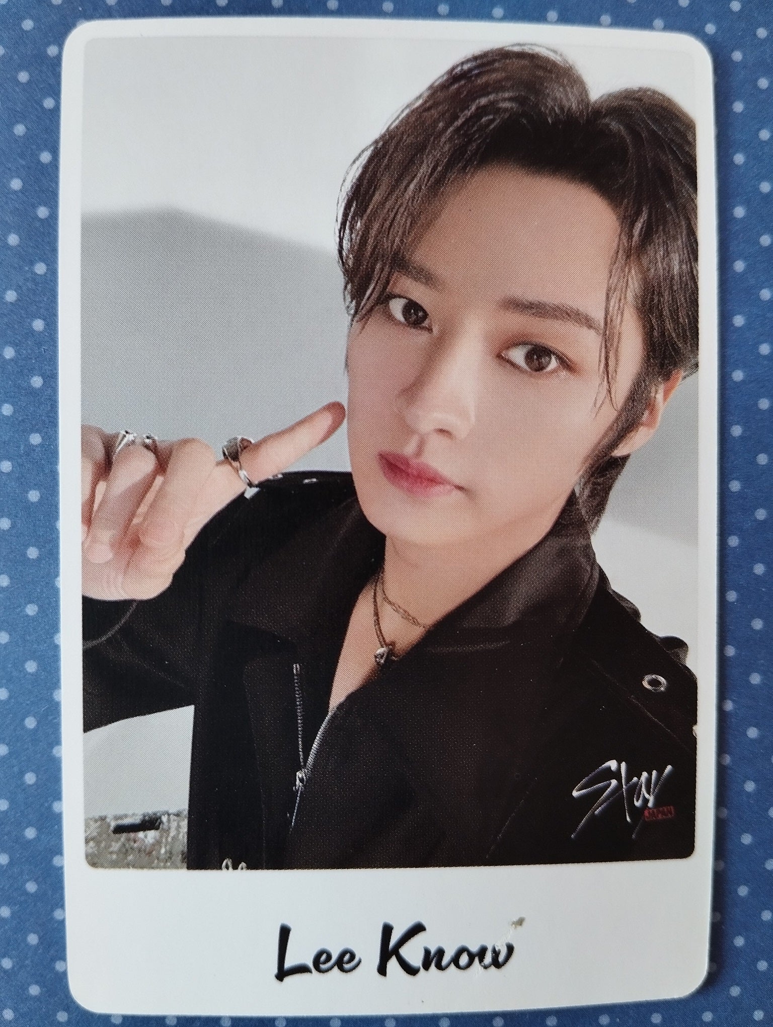 photocard stray kids - Precios y Ofertas - feb. de 2024