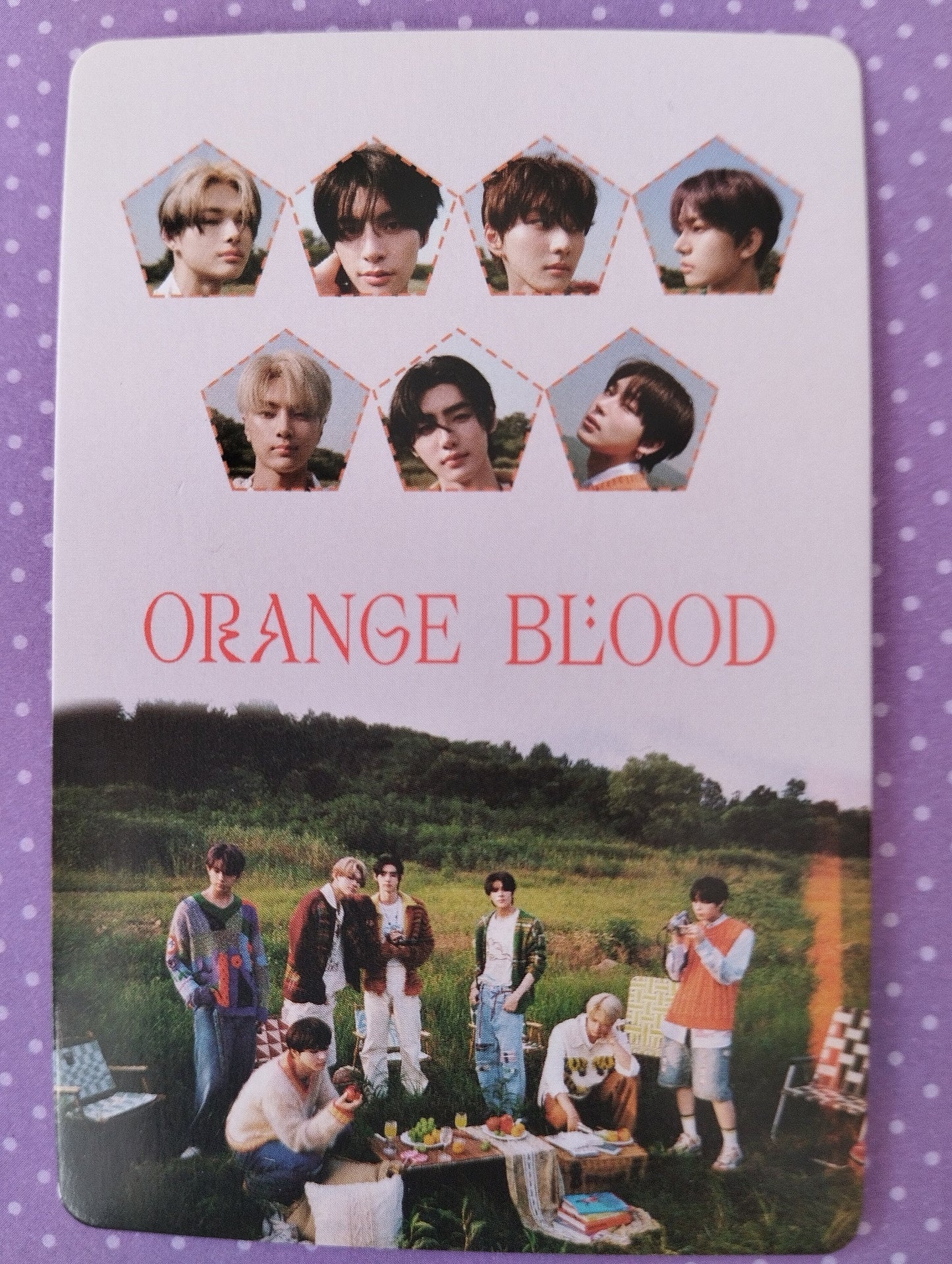 Photocard ENHYPEN Orange blood Sunghoon Niki Jungwon Jake