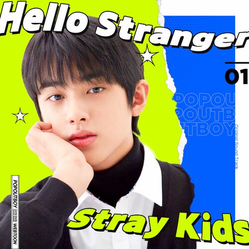 Décoration K POP cover  STRAYKIDS