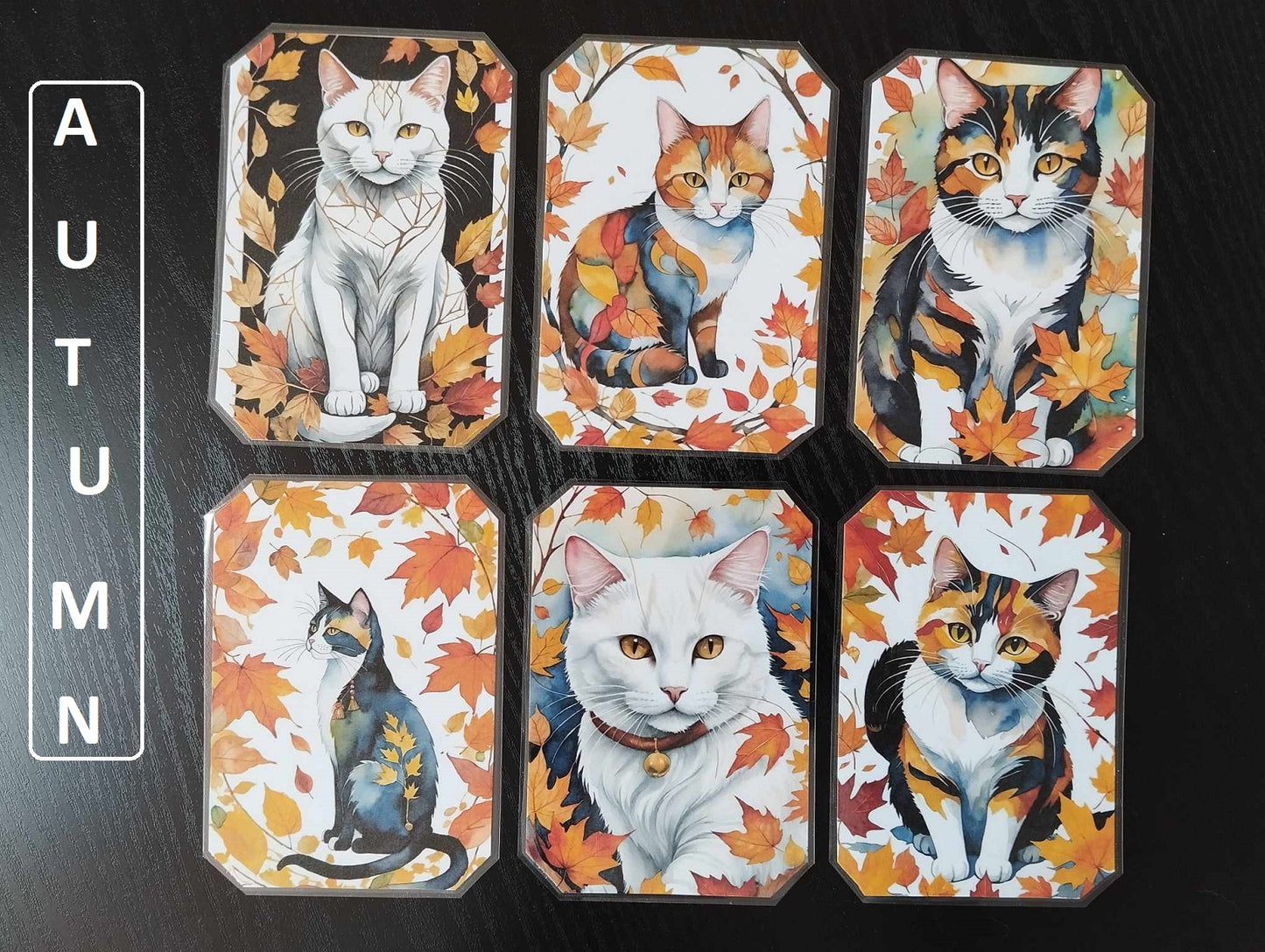 Lot 6 dessous de verre LES CHATS version AUTOMNE