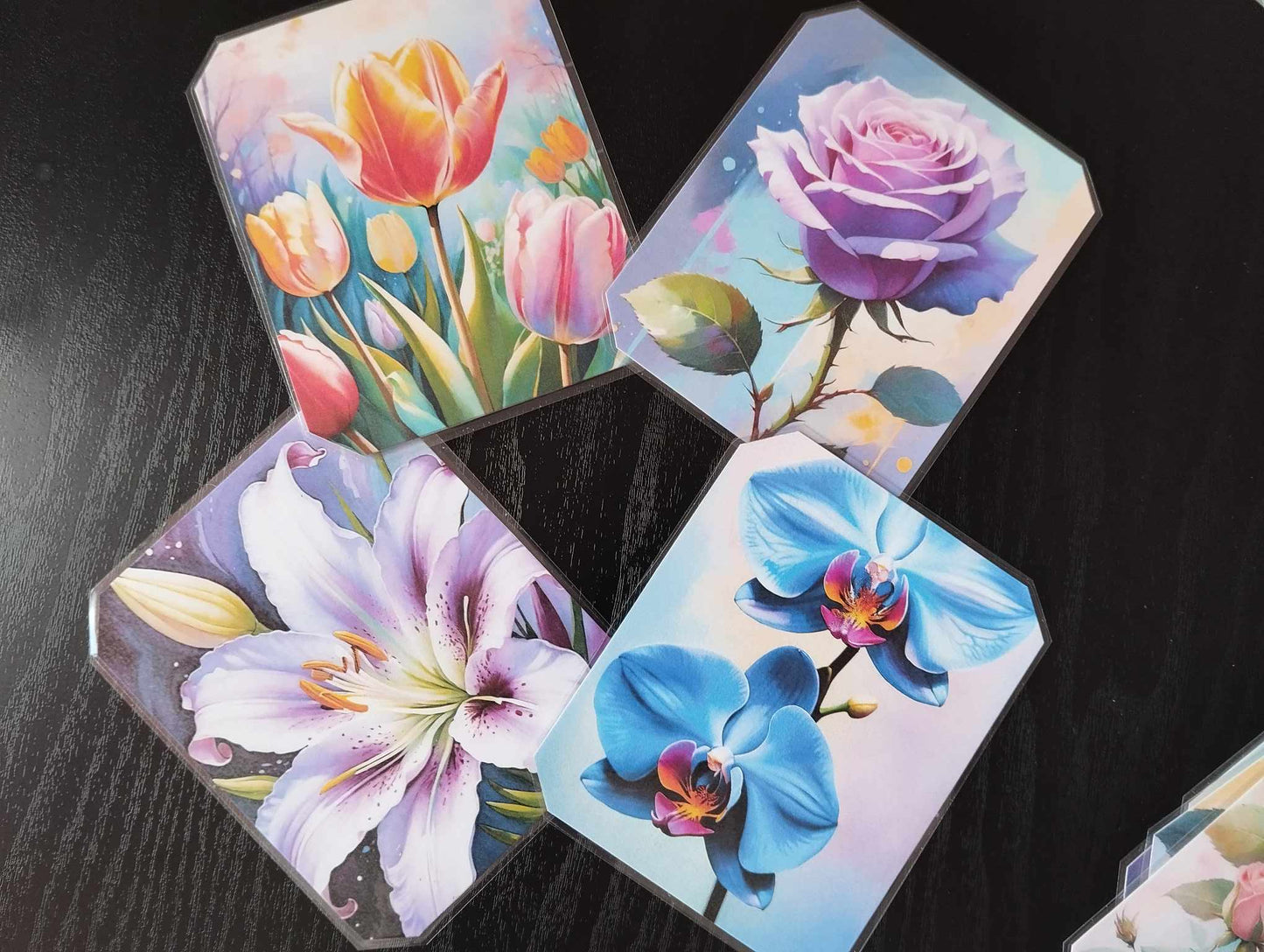 Lot 6 dessous de verre LES FLEURS Les orchidées