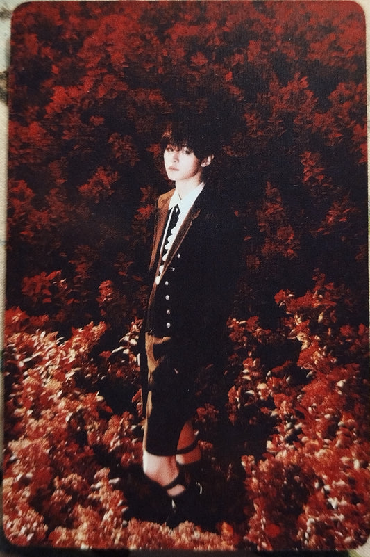 Photocard ENHYPEN Dark blood Sunghoon