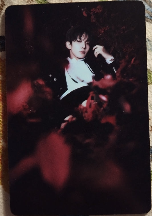 Photocard ENHYPEN Dark blood Heeseung