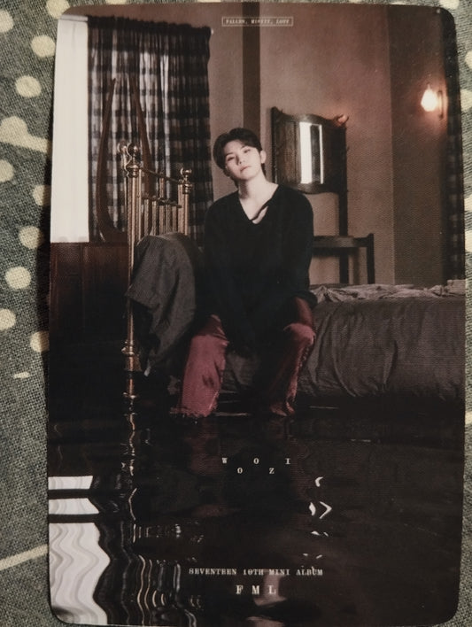 Photocard SEVENTEEN 10th Mini album Woozi