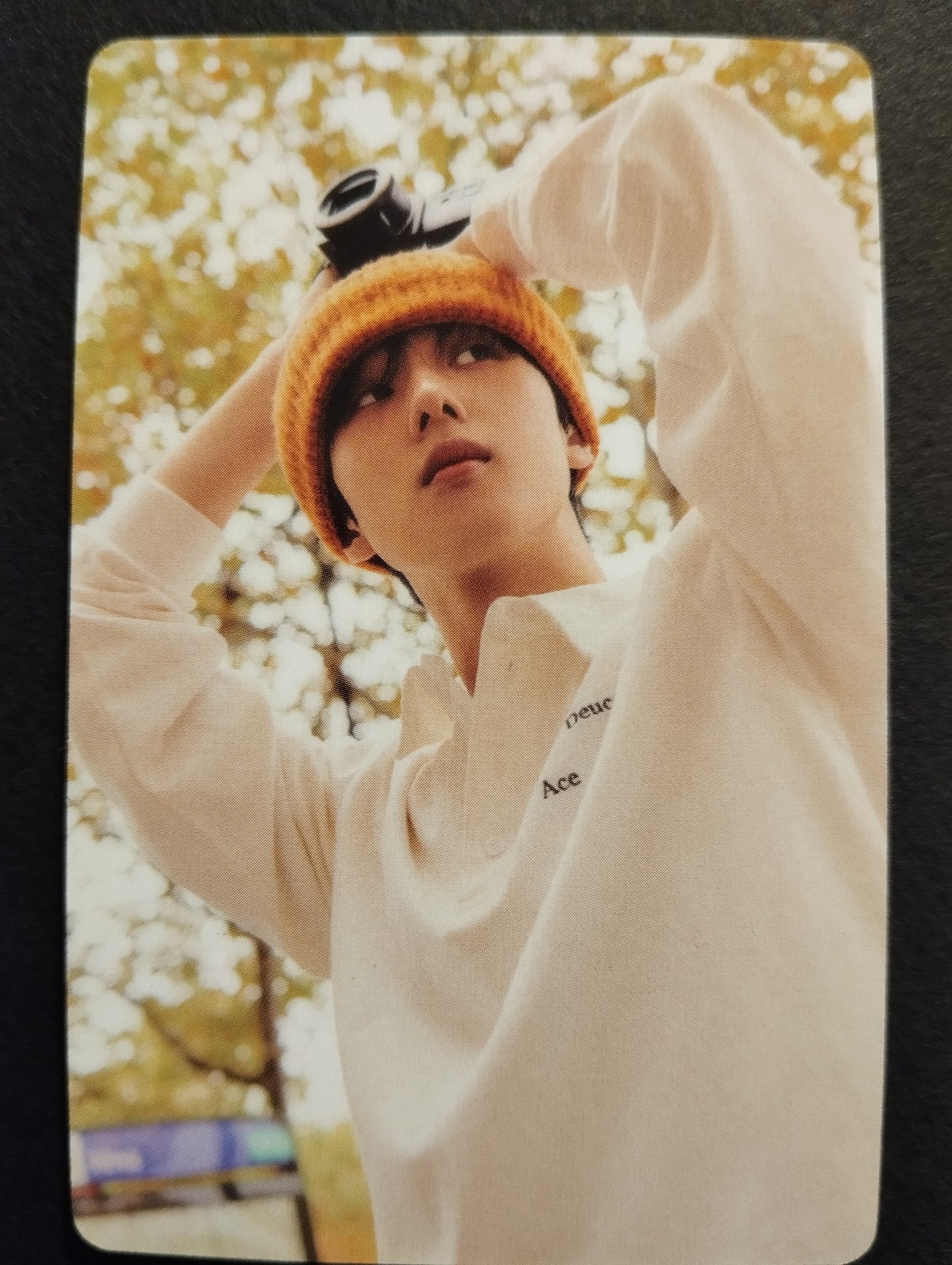 Photocard NCT Golden age Nation to the world  Jisung