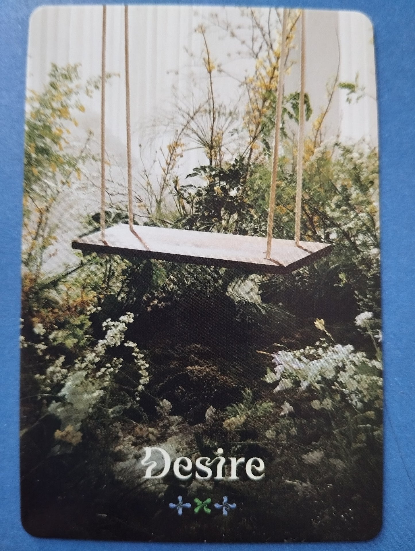 Photocard TXT Sweet "Desire"