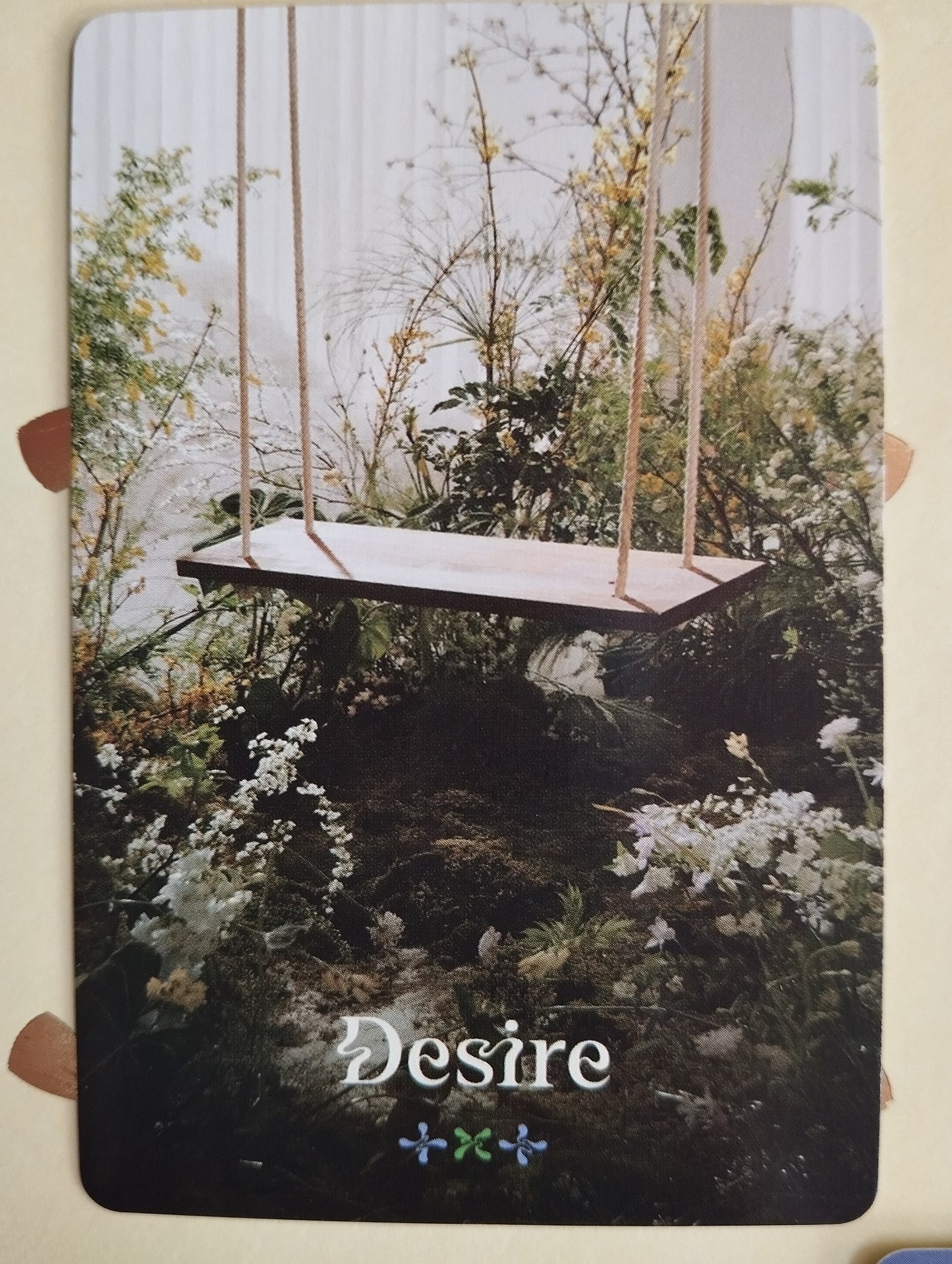 Photocard TXT Sweet "Desire" Huening kai