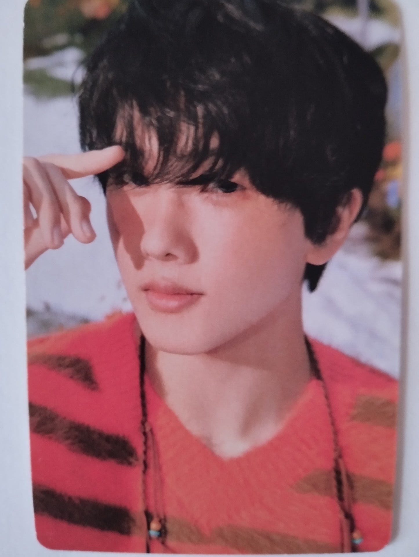 Photocard   NCT DREAM Best friend ever Jisung