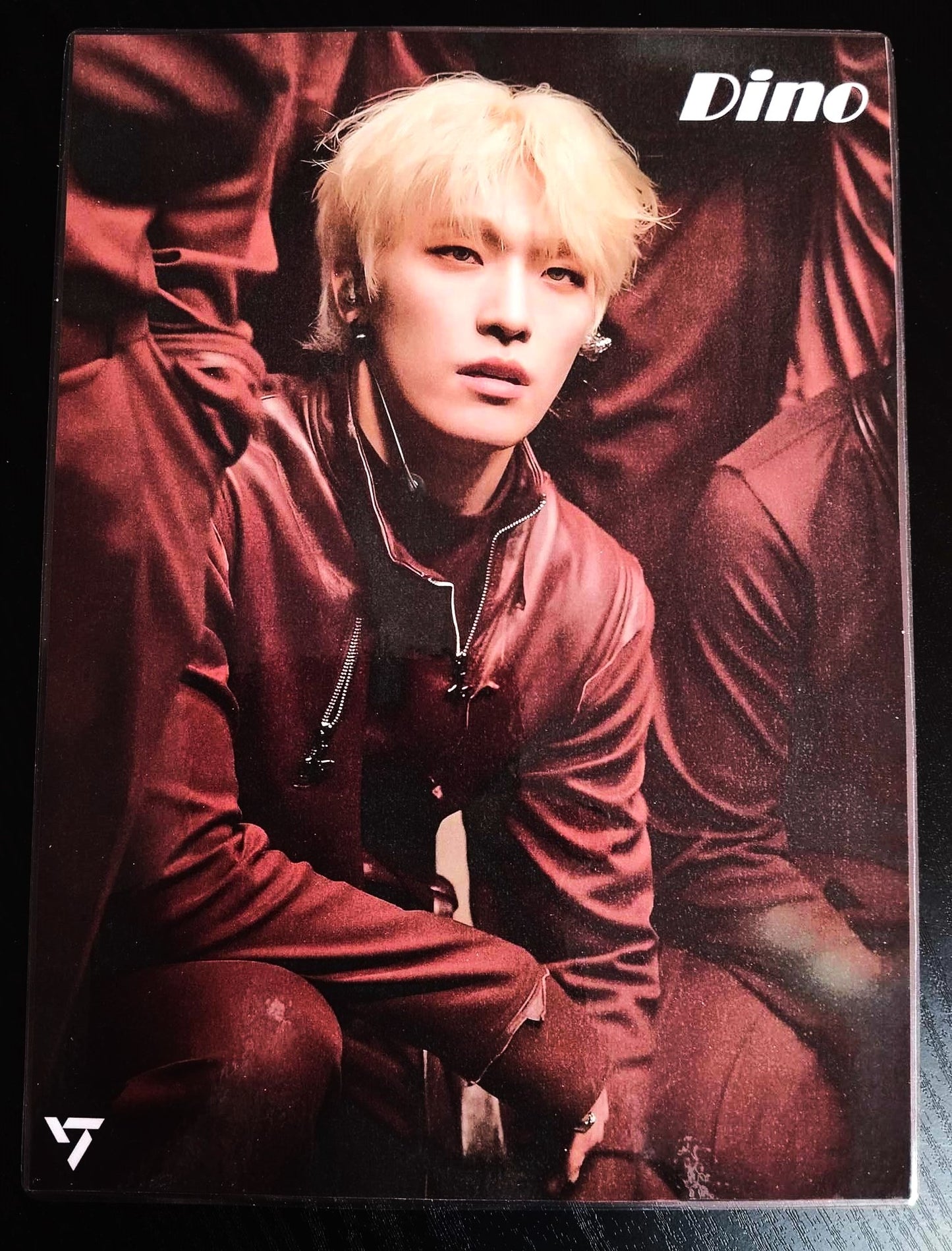 Pack décoration  K pop SEVENTEEN Dino.