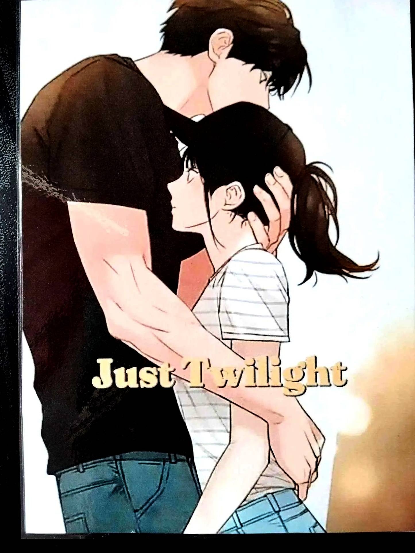 Pack décoration Webtoon JUST TWILIGHT