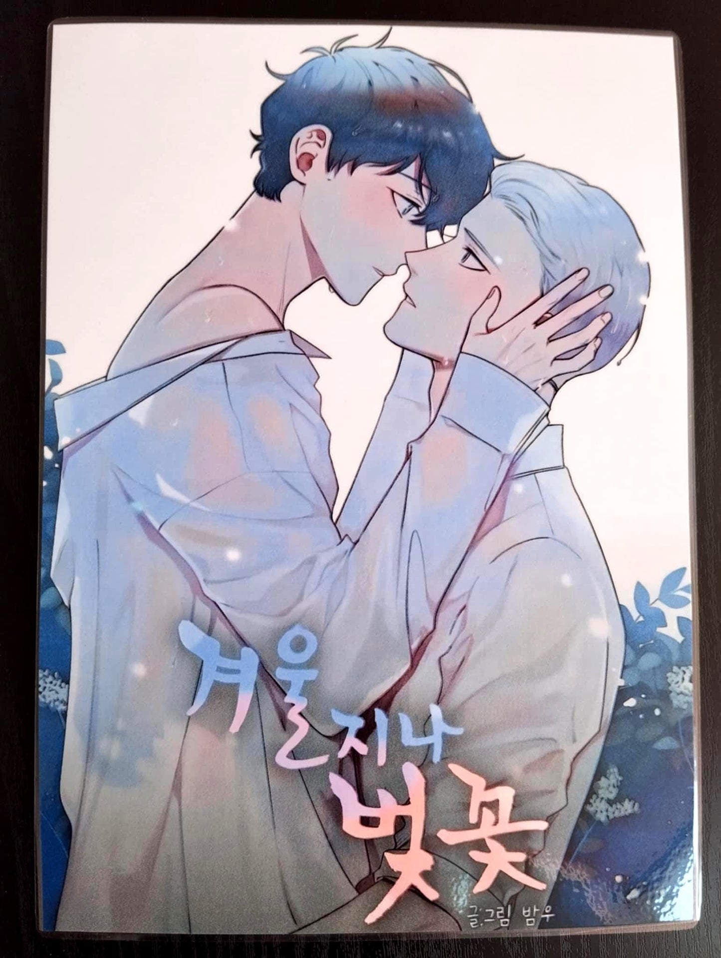 Pack décorations WEBTOON Cherry blossoms after winter