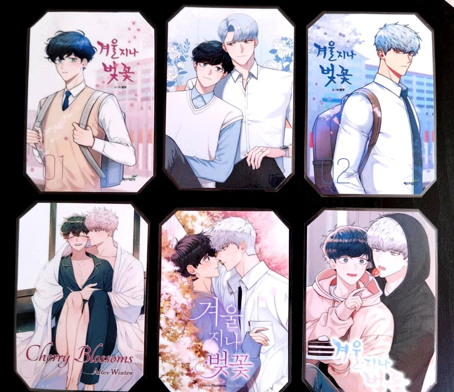 Pack décorations WEBTOON Cherry blossoms after winter