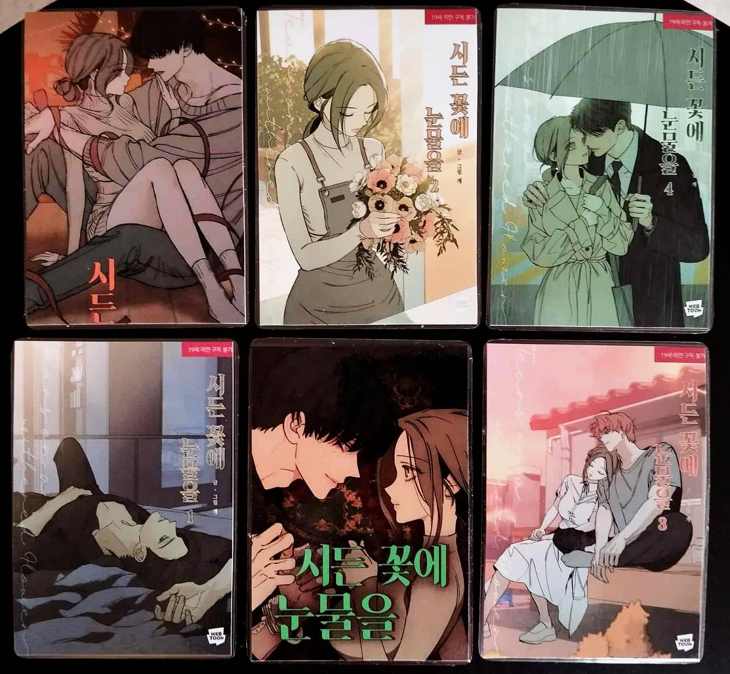 Pack décoration Webtoon TEARS ON A WITHERED FLOWER