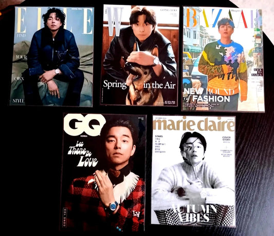 Lot 5 décorations   K-DRAMA Gong Yoo.