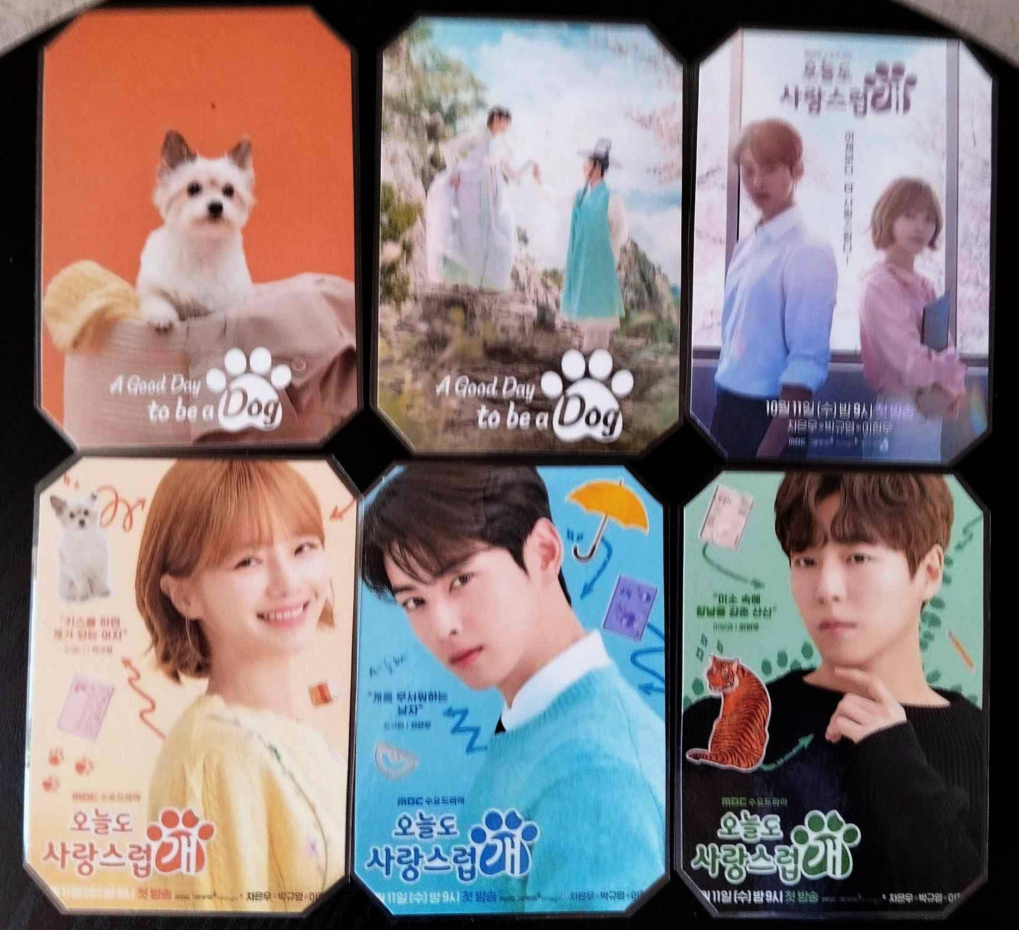 Decoration pack K drama A GOOD DAY TO BE A DOG