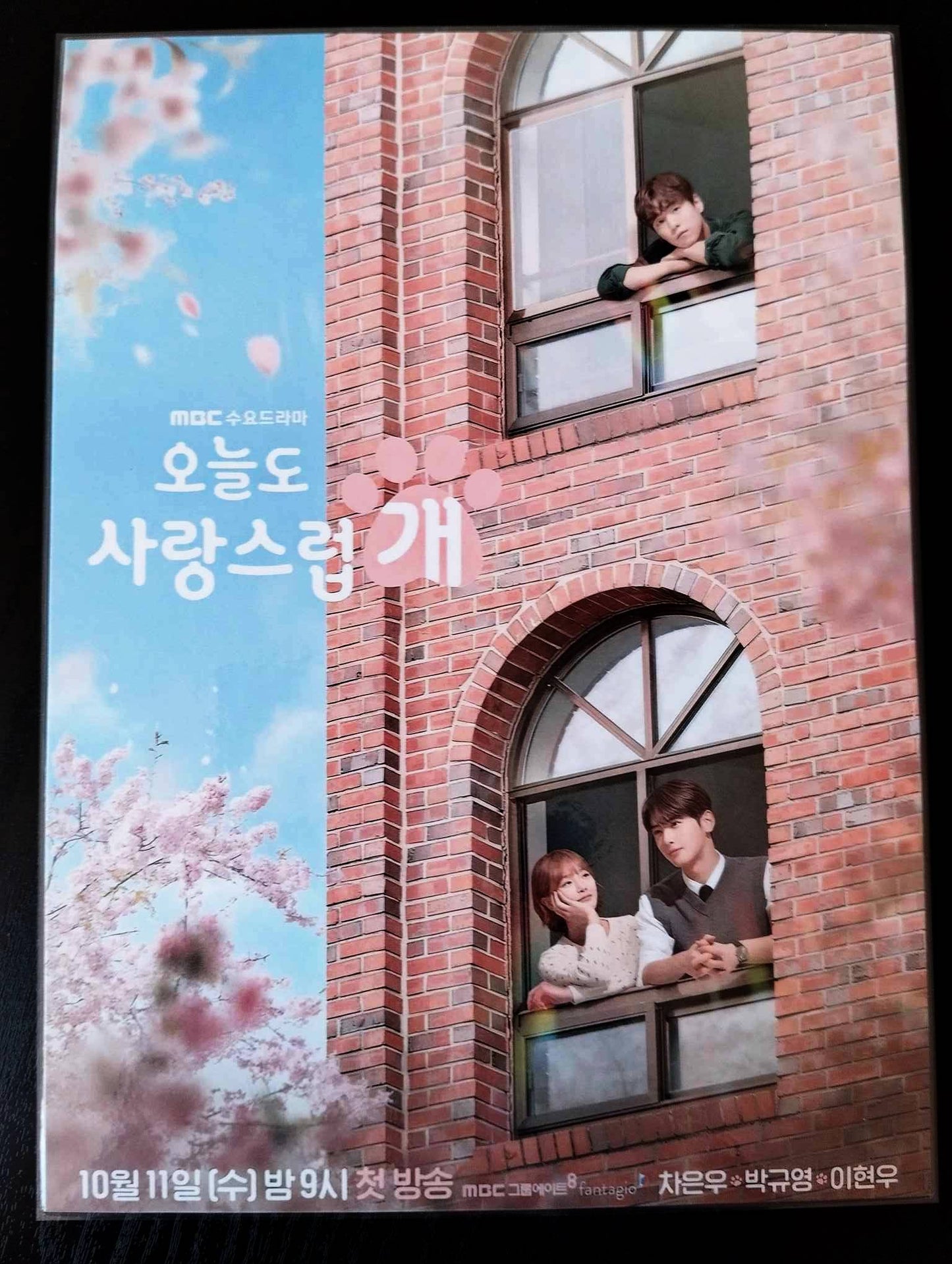 Decoration pack K drama A GOOD DAY TO BE A DOG