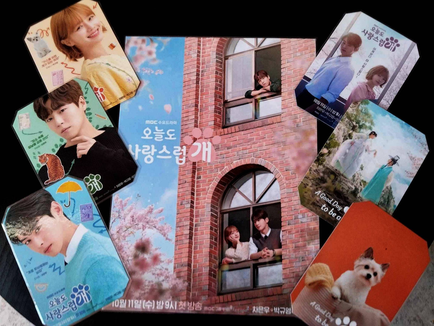 image principale de pack décoration k drama a good day to be a dog cha eun woo