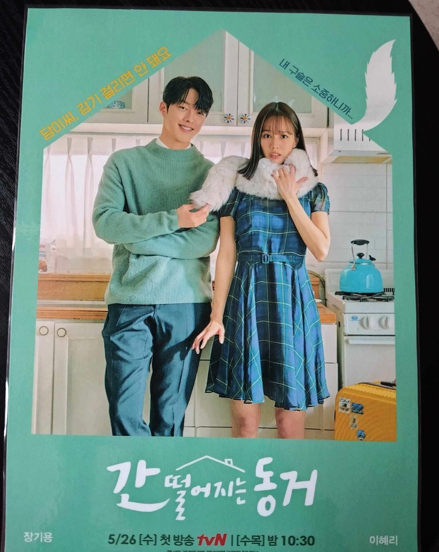 Pack décoration  K-Drama My roommate is a gumiho