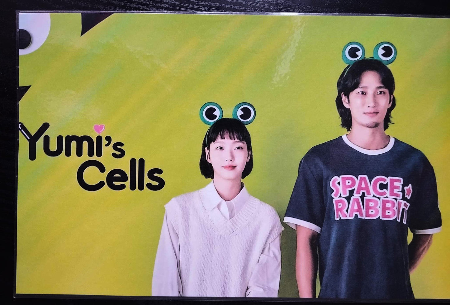 Pack décoration  K-Drama Yumi's cells