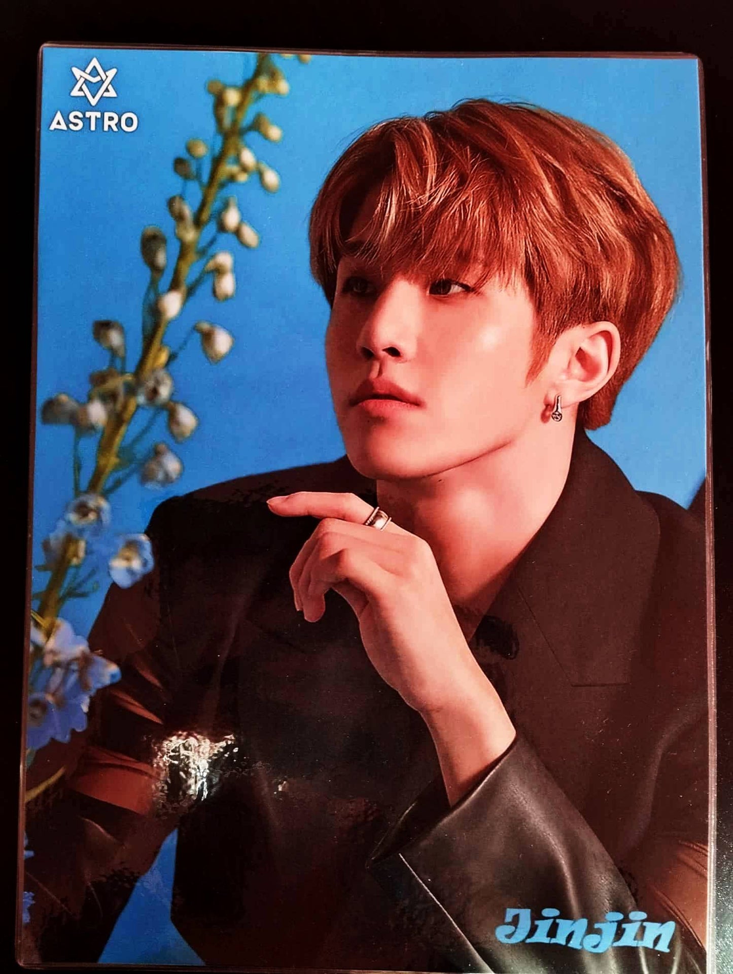 Pack décoration K pop ASTRO JINJIN