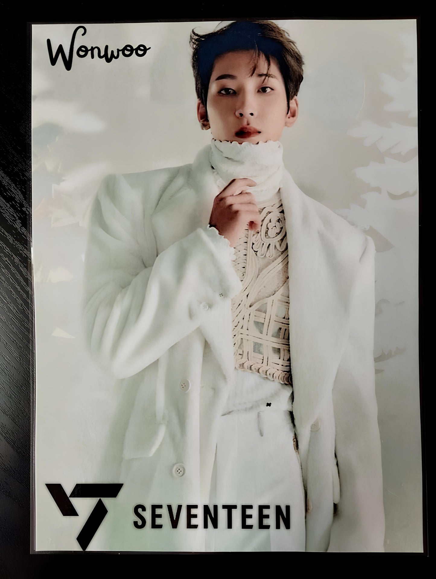 Pack décoration K pop SEVENTEEN WONWOO