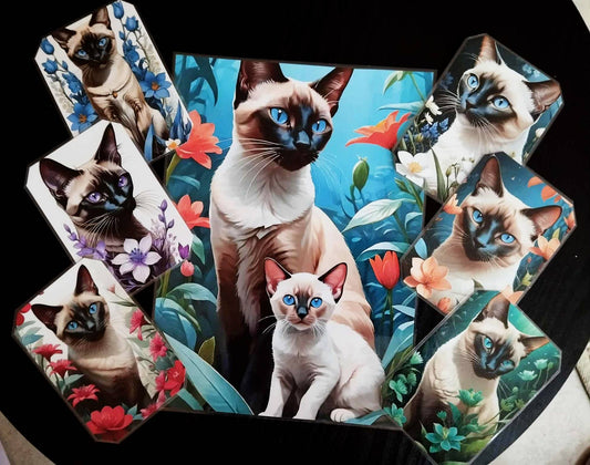 Image principale de pack décoration les chats le siamois