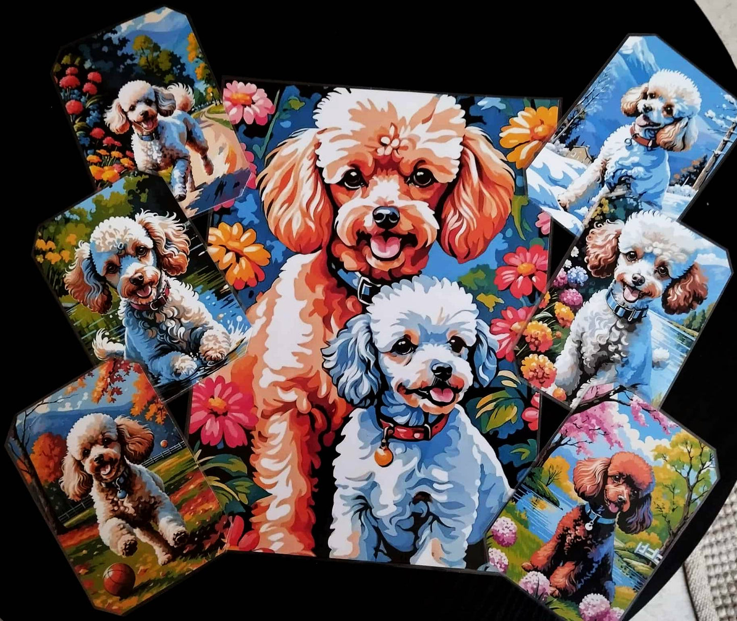 image principale de pack décoration les chiens le caniche 