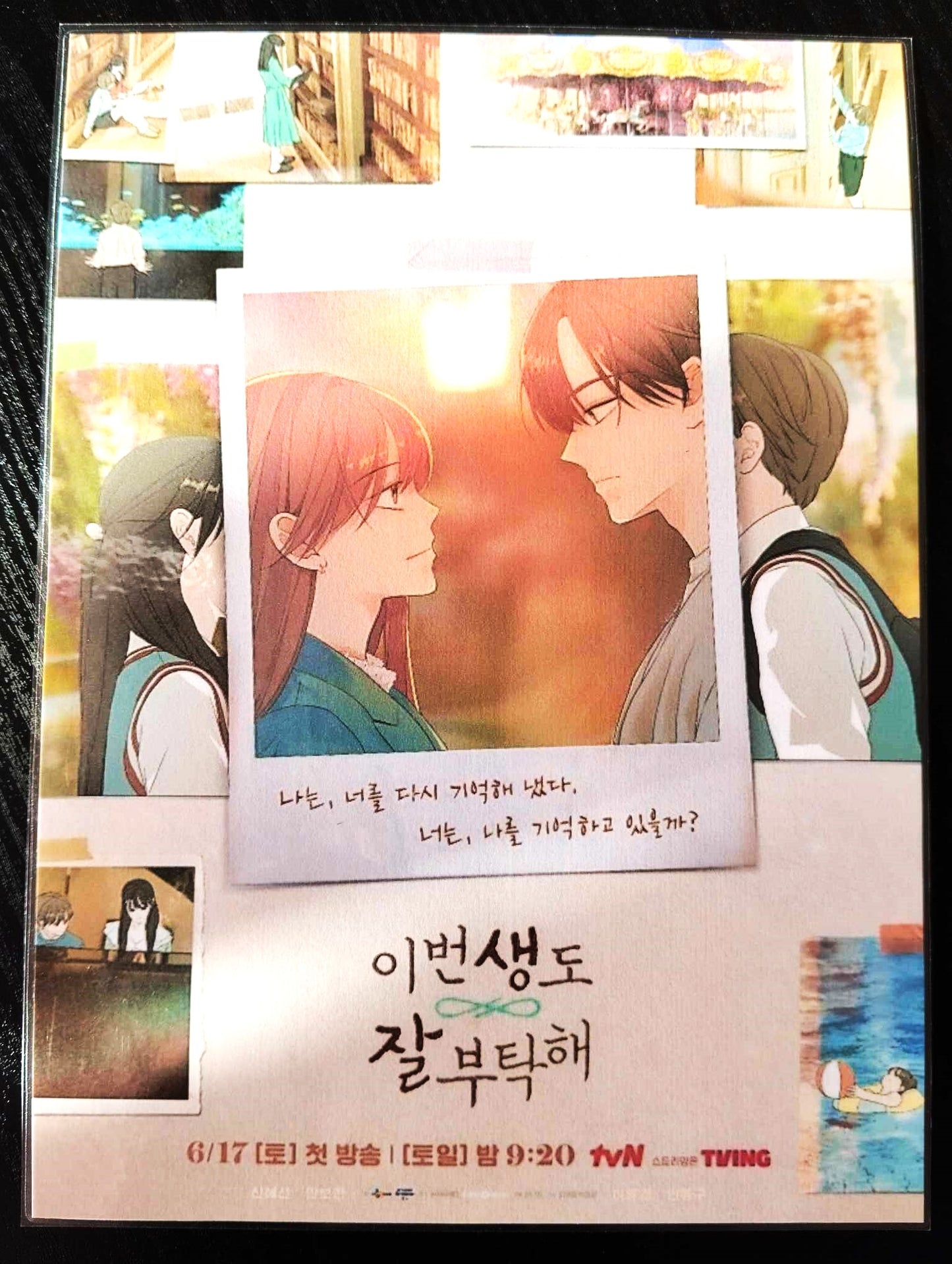 Pack décoration  Webtoon  See you in my 19th life