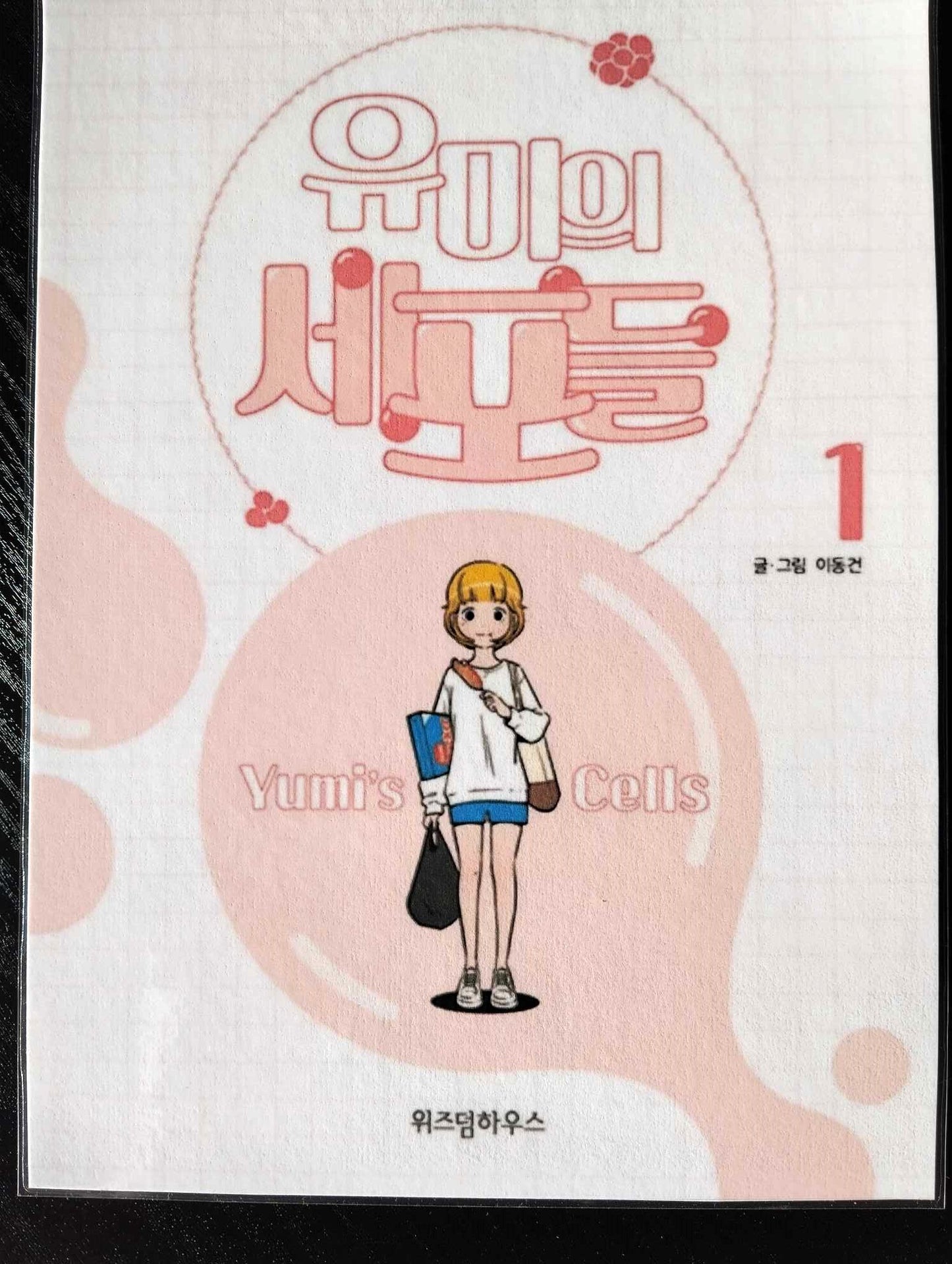 Pack décoration  Webtoon Yumi's cells