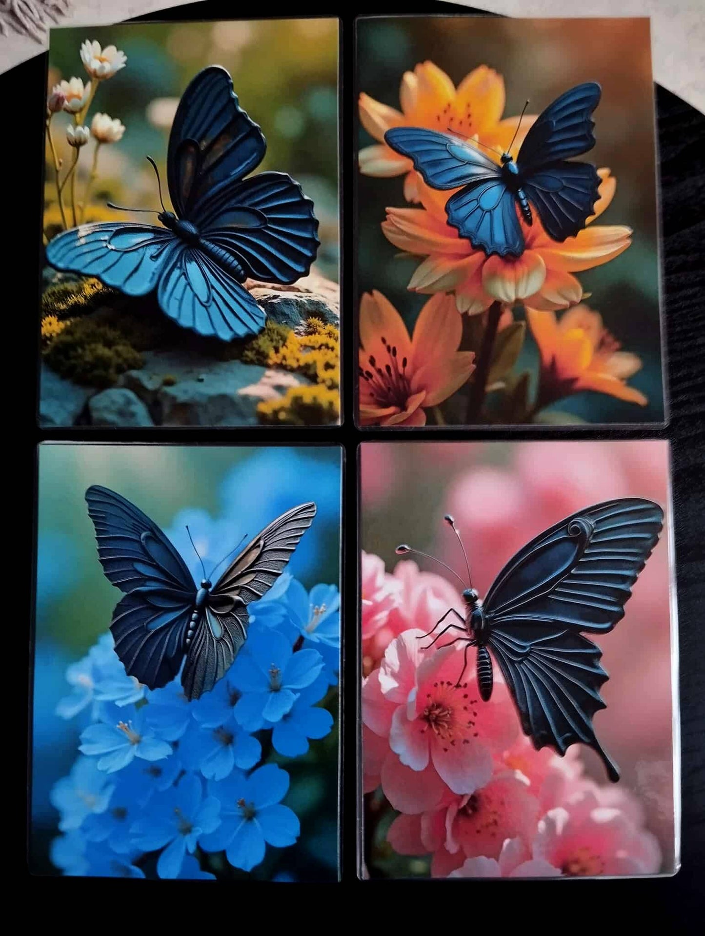 Pack décoration LE SCULPTEUR Les papillons d'obsidienne