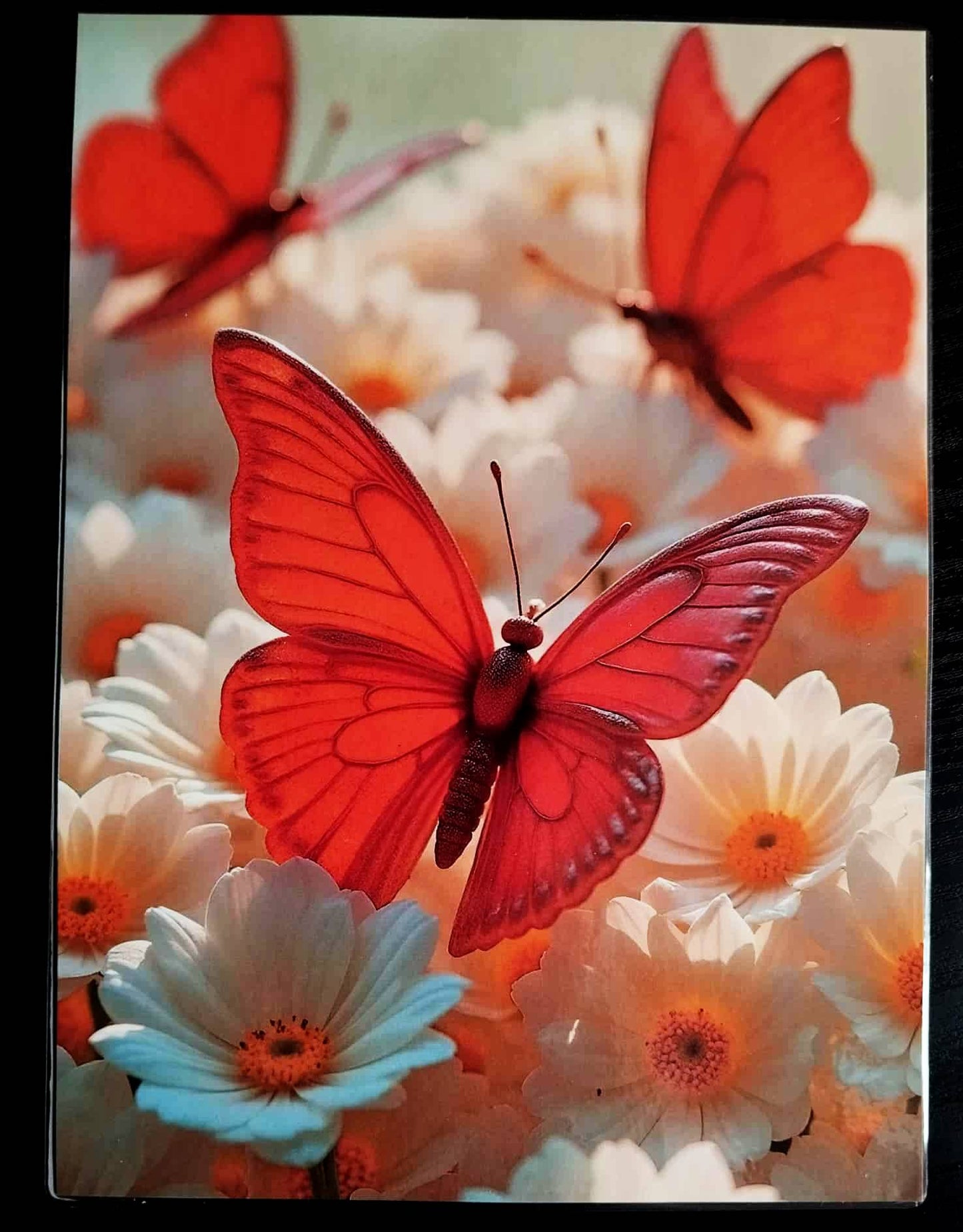 THE SCULPTOR Decoration Pack: Red Granite Butterflies + Bookmark