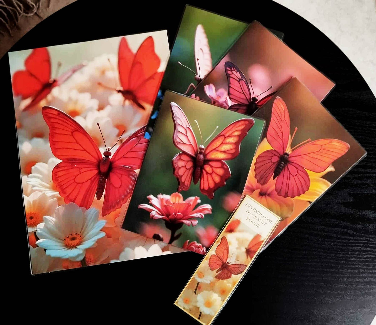 image principale de pack décoration l'atelier des mondes perdus le sculpteur  cycle 1 les papillons de granit rouge plus marque page