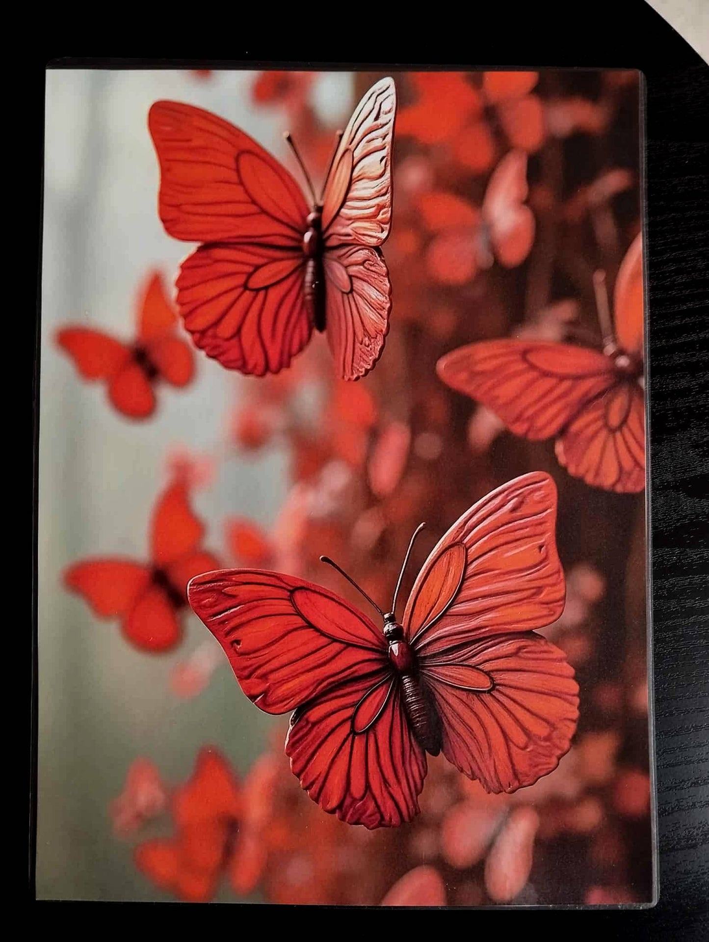 Pack décoration LE MENUISIER Les papillons d'acajou