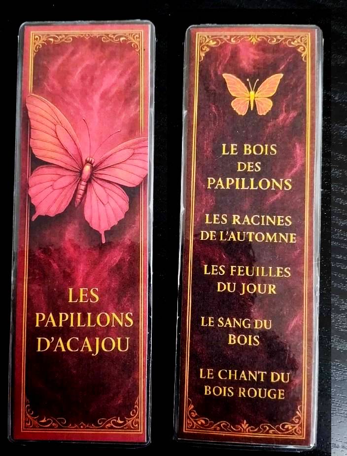 Pack décoration LE MENUISIER Les papillons d'acajou