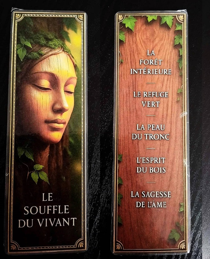 Pack décoration LE MENUISIER Le souffle du vivant