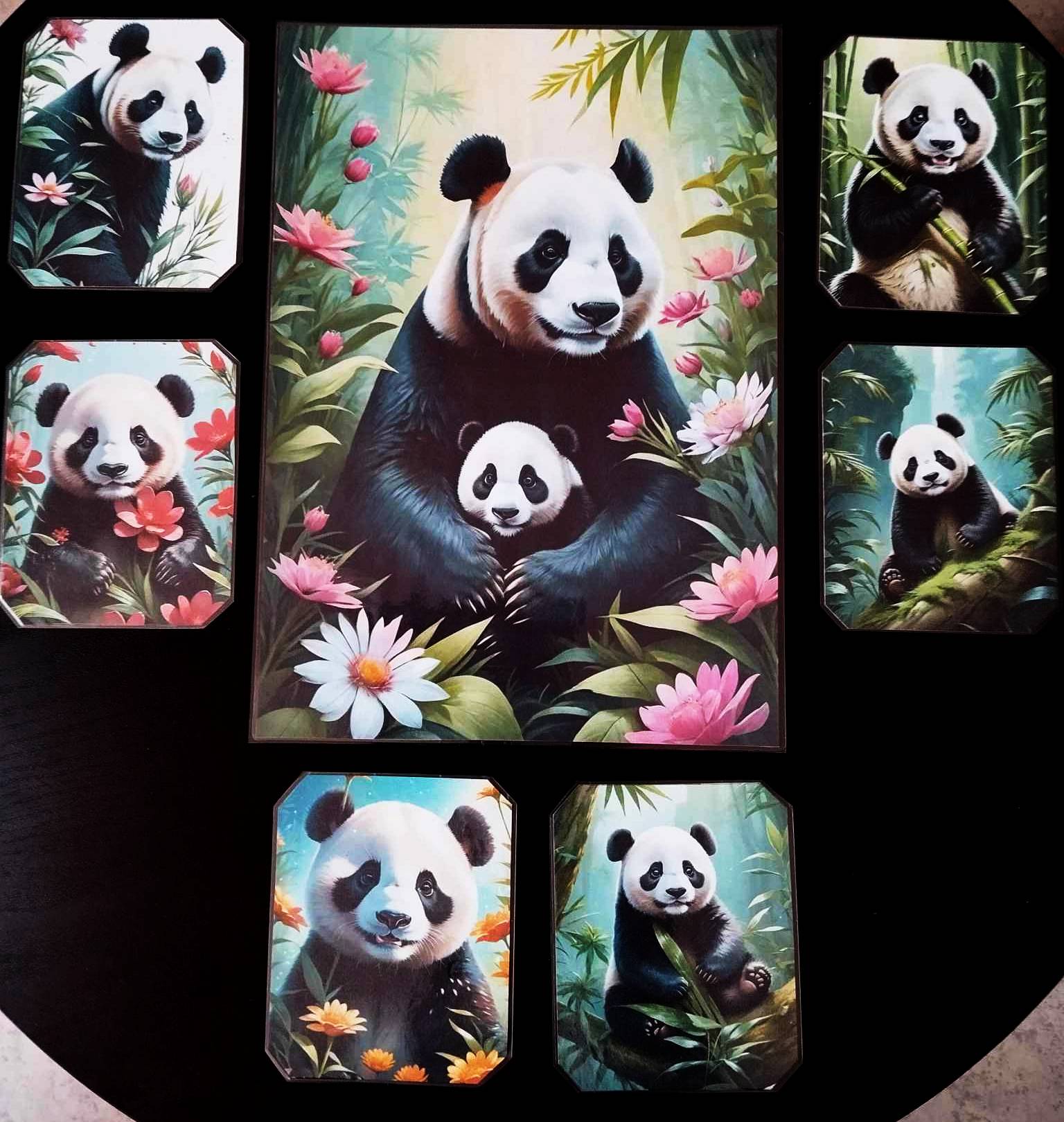 image principale de pack décoration les pandas