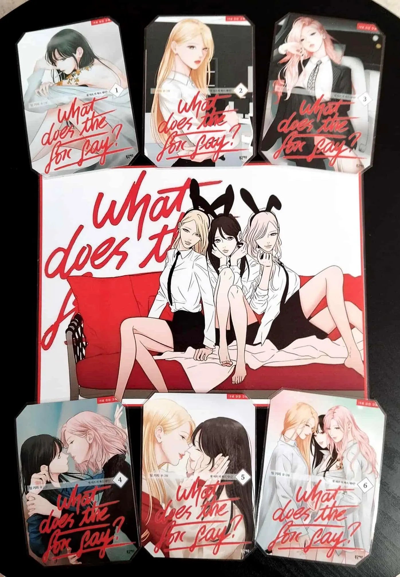 main picture of decoration pack webtoon manhwa girl's love what does the fox say ?